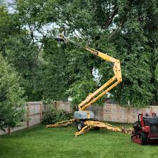 Best Leaf Removal  in Bells, TN