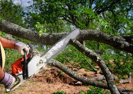 Best Weed Control  in Bells, TN