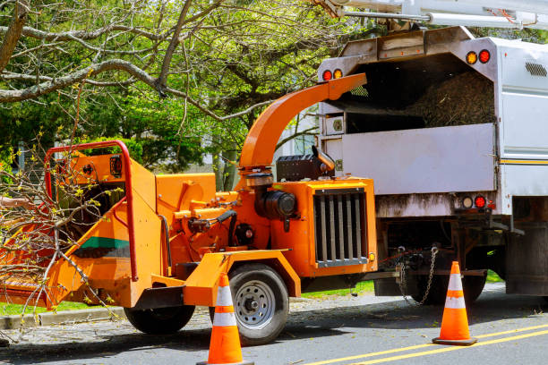 Best Arborist Consultation Services  in Bells, TN
